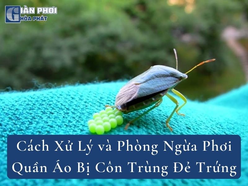 Cách Xử Lý và Phòng Ngừa Phơi Quần Áo Bị Côn Trùng Đẻ Trứng