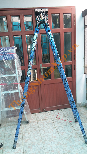 Thang chữ A giá rẻ TS25 (2.5m)