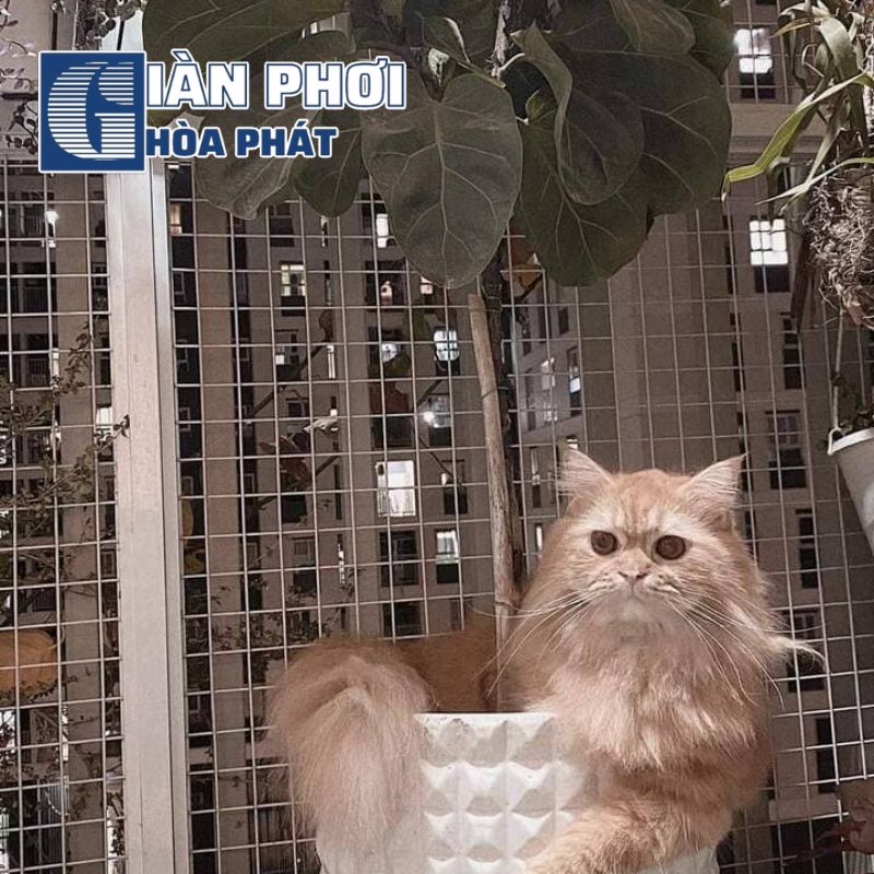 Lưới an toàn bảo vệ thú cưng