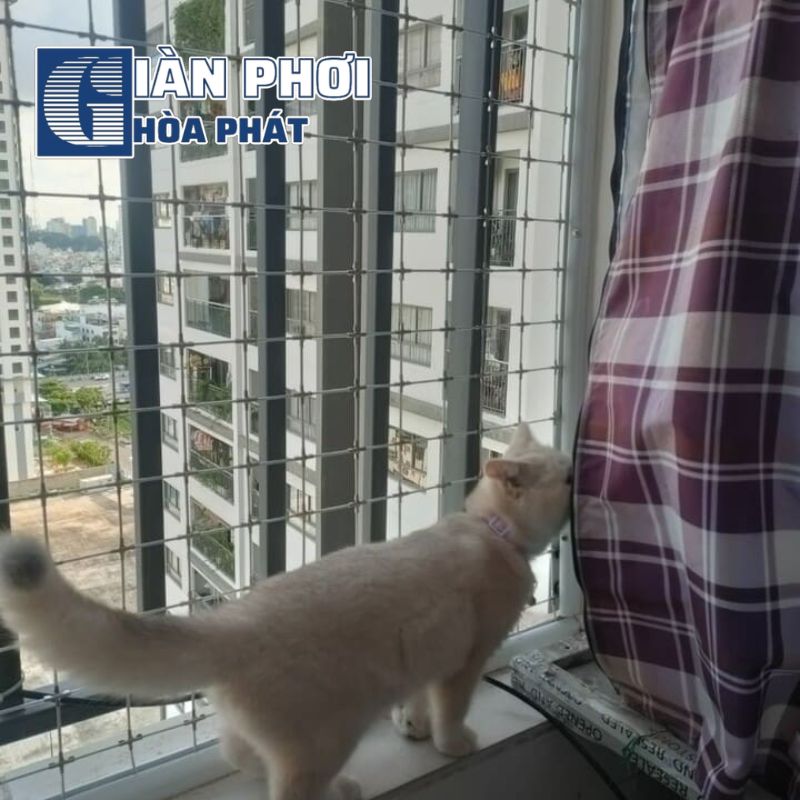 Lưới an toàn bảo vệ thú cưng