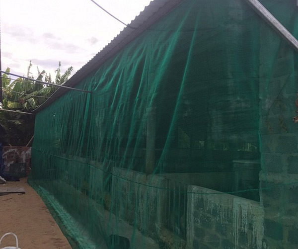 lưới chống muỗi cho chuồng trại